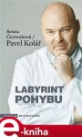 Labyrint pohybu (audiokniha) | Vasil Fridrich, Romana Růžičková, Pavel Kolář, Renata Červenková