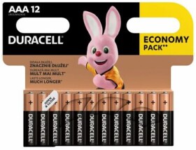 DURACELL - Basic baterie AAA 12 ks (42325)