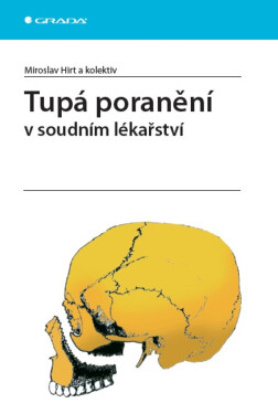 Tupá poranění - Miroslav Hirt