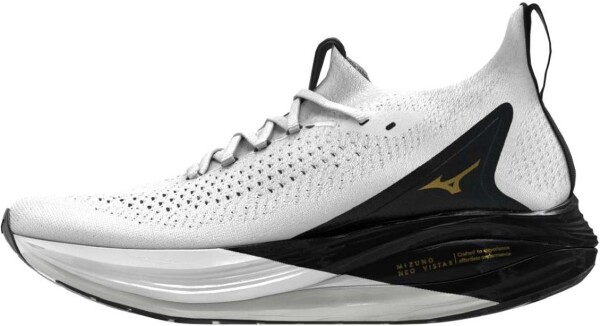 Běžecké boty Mizuno MIZUNO NEO VISTA 2 J1GC263401 Velikost obuvi v EU: 46,5