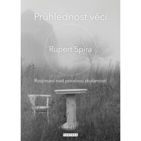 Průhlednost věcí - Rozjímání nad povahou zkušenosti - Rupert Spira