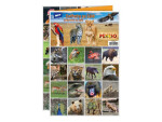 Pexeso MFP 3xA4 Zvířata ze ZOO