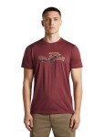 ICEBREAKER Mens Merino 150 Tech Lite SS Tee Transportage, Port (vzorek) velikost: M
