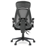 Kancelářská židle, houpací mechanismus, černá síťovina, KA-Y309 BK