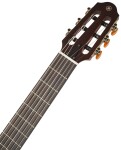 Yamaha SLG200N TBS