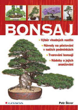 Bonsaj - Petr Škvor