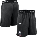 Nike Pánské kraťasy Baltimore Orioles MLB 2025 City Connect Authentic Shorts Velikost: S