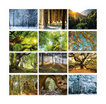Les 2024 - nástěnný kalendář