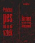 Pekelnej pes má na mě vztek - Variace na texty starých bluesmanů - Michal Bystrov