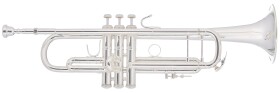 Bach 180S-43