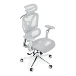 Kancelářská židle, synchronní mechanismus, šedá síťovina, KA-B2361 GREY