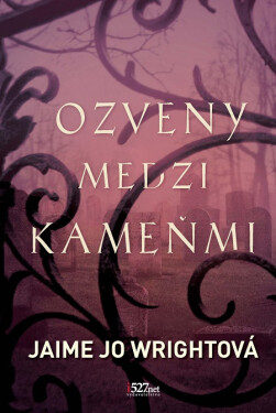 Ozveny medzi kameňmi - Jaime Jo Wright