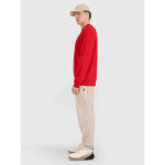 Pánská mikina 4F 4FWMM00TSWSM1767-062S s kapucí bez svetru m