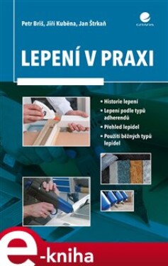 Lepení v praxi - Briš Petr, Jan Štrkaň, Jiří Kuběna e-kniha