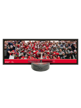 Inglasco / Sherwood Sběratelská plaketa Florida Panthers NHL 2024 Stanley Cup Champions Deco Plaque
