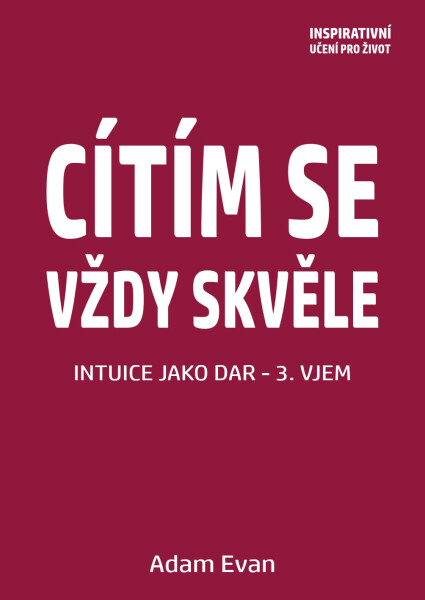 Cítím se vždy skvěle, Intuice jako dar 3. Vjem - Adam Evan
