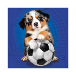 Puzzle 3x55 dílků Psí sportovci