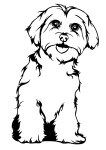 Maltézský psík dřevěná dekorace na zeď Rozměr (cm): 38 Typ: Maltézský psík Dekor: Černá