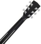 Cort Earth 60 BK