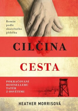 Cilčina cesta