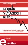 Podnik v časech krize. Jak se nedostat do potíží a jak se dostat z potíží: zkušenosti ze světové recese let 2007 až 2009 - Eva Kislingerová e-kniha