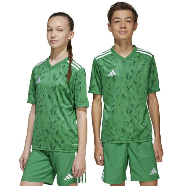 Adidas Team Icon 25 JSY Jr Tričko JJ1956 164 cm