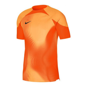 Pánské brankářské tričko ADV Nike