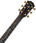 Taylor PS14ce