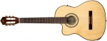 Ortega RCE141NT-L