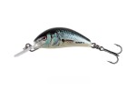 Salmo Wobler Hornet Floating Real Dace,Salmo Wobler Hornet Floating Real Dace