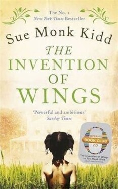 Invention of Wings