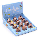 Balzám na rty - Kapybara (mix)