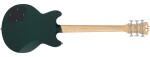 D'Angelico Premier Brighton Sherwood Green
