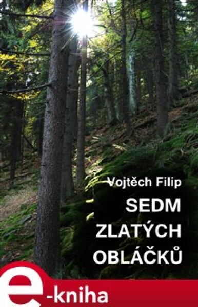 Sedm zlatých obláčků - Vojtěch Filip e-kniha