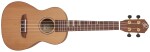 Ortega RUTI-CC