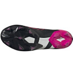 Kopačky adidas Predator Accuracy.1 Nízká FG M GW4577 41 1/3