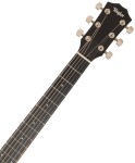 Taylor 210ce Plus