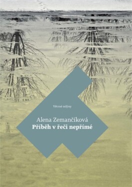 Příběh v řeči nepřímé - Alena Zemančíková - e-kniha