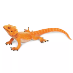 Safari Ltd. Safari Ltd. Figurka - Agama vousatá