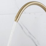 REA - Kuchyňská baterie Eco Fresh BRUSH GOLD REA-B7596