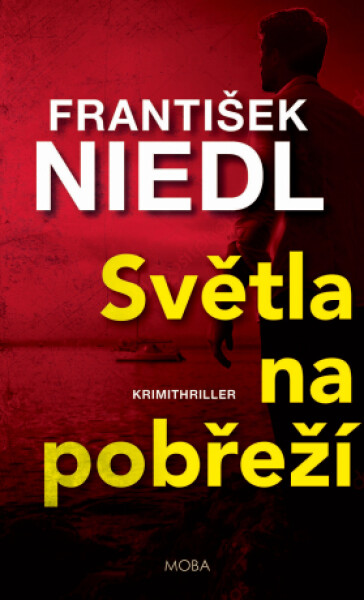 Světla na pobřeží - František Niedl - e-kniha