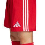 Šortky adidas Tastigo 25 M JN7157 XL