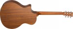Tanglewood TM6CE