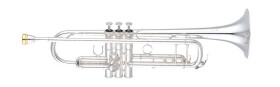 Yamaha YTR-8335GS