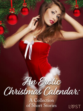 An Erotic Christmas Calendar: A Collection of Short Stories - LUST authors - e-kniha