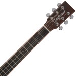 Tanglewood TRS5 SE