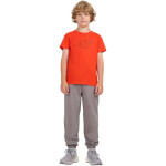 Tričko 4F Jr 4FJWAW25TTSHM2417 62S 146 cm