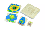 Moyo Montessori Moyo Montessori Životní cyklus květiny