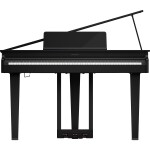 Roland GP-3
