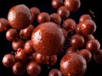 Delphin Boilies v dipu BreaX/SweetBERRY Moruše-Jahoda-Švestka 200ml,Delphin Boilies v dipu BreaX/SweetBERRY Moruše-Jahoda-Švestka 200ml